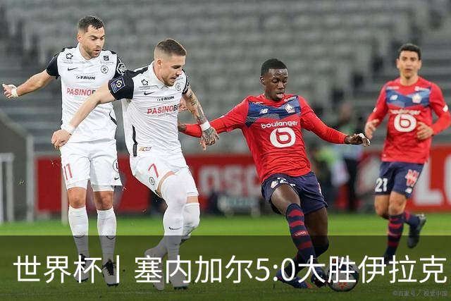 世界杯丨塞内加尔5:0大胜伊拉克 有望凭净胜球优势晋级